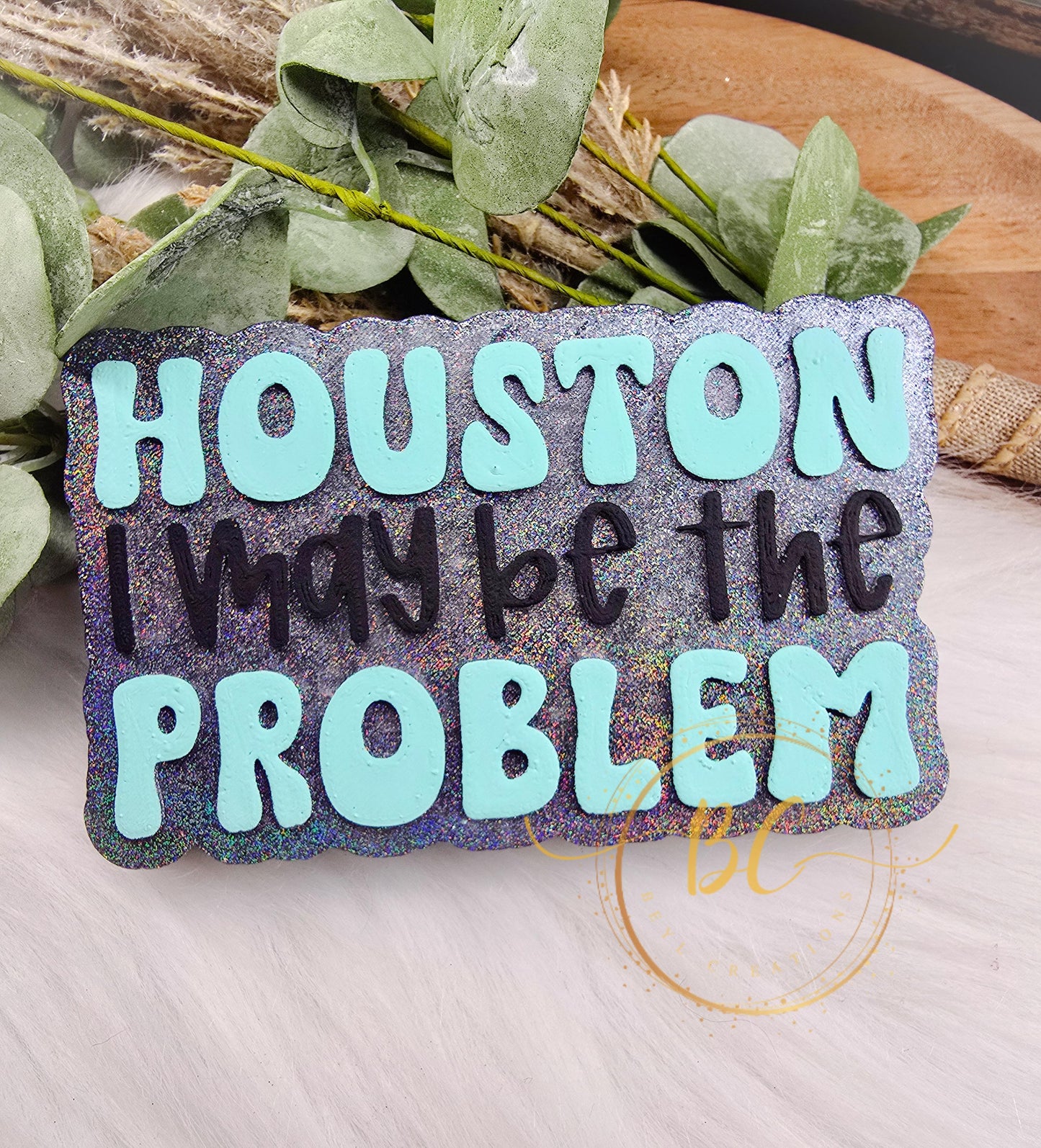 Houston I May Be the Problem Freshie