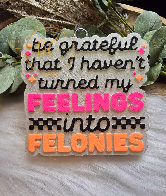 Feelings into Felonies Freshie